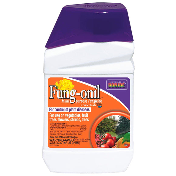 Bonide Fung-onil Fungicide Concentrate (1 Pint)