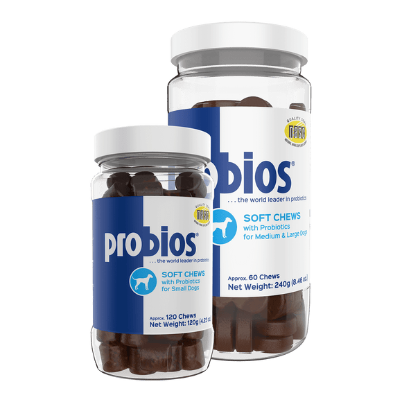 Probios® Soft Chews with Probiotics (60 Count | 240 Gram Med-Large Dogs)