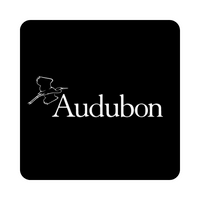 Audubon