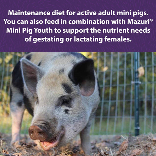 Mazuri® Mini Pig Active Adult