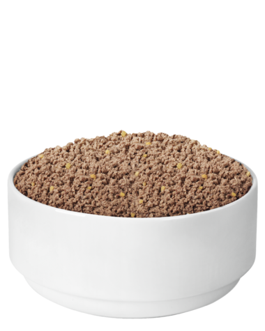 Purina Pro Plan SAVOR Grain Free Adult Classic Chicken & Lamb Entrée Wet Dog Food (13-oz)