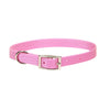 Coastal Single-Ply Dog Collar