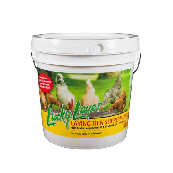 Lucky Layer Supplement 12 Lb Bucket (12 lbs)