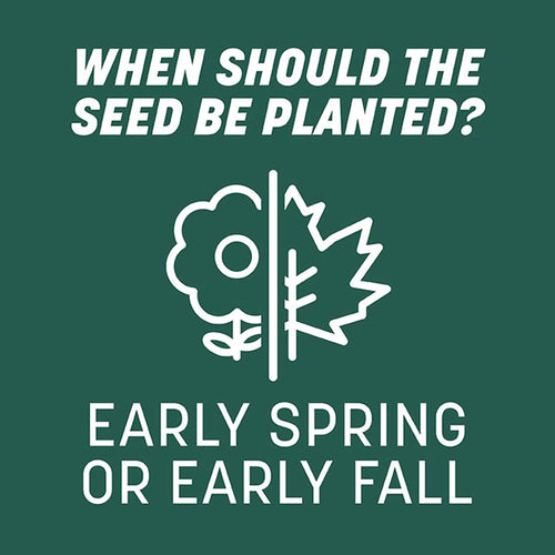 Pennington Smart Seed Sun and Shade Grass Seed and Fertilizer Mix