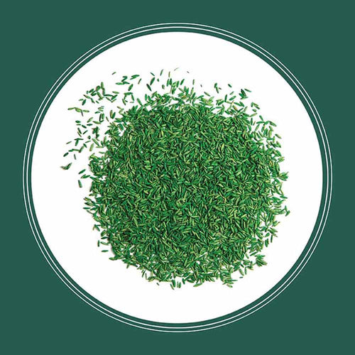 Pennington Smart Seed Sun and Shade Grass Seed and Fertilizer Mix