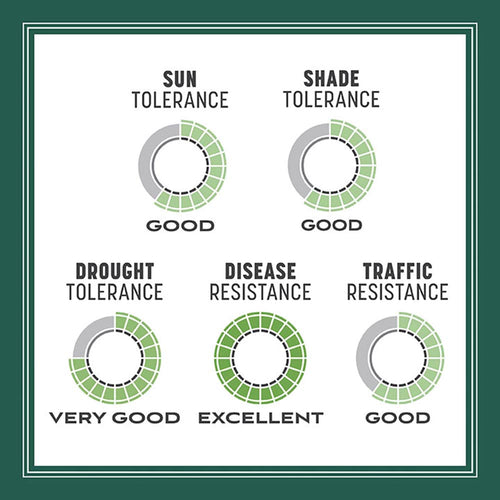 Pennington Smart Seed Sun and Shade Grass Seed and Fertilizer Mix