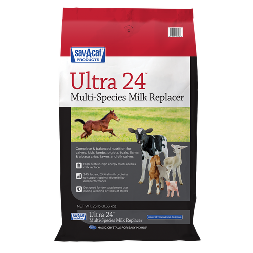 Sav-A-Caf Ultra 24™ Multi-Purpose Milk Replacer