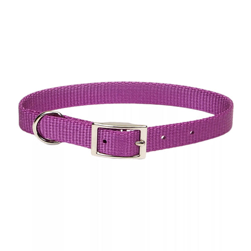 Coastal Pet Products Coastal Single-Ply Dog Collar Orchid 3/4 x 18 (3/4 x 18, Orchid)