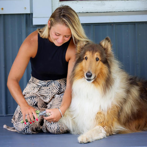 Coastal Pet Products Safari Professional Dog Nail Trimmer (Standard)